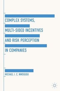 bokomslag Complex Systems, Multi-Sided Incentives and Risk Perception in Companies