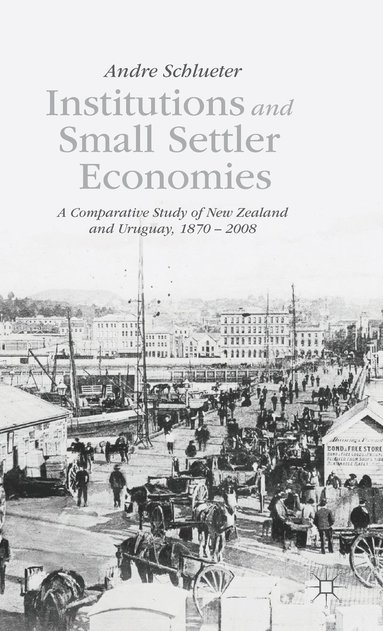 bokomslag Institutions and Small Settler Economies