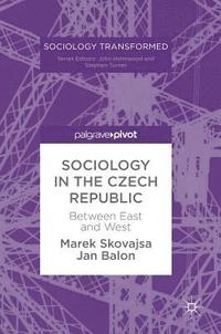 bokomslag Sociology in the Czech Republic