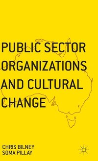 bokomslag Public Sector Organizations and Cultural Change