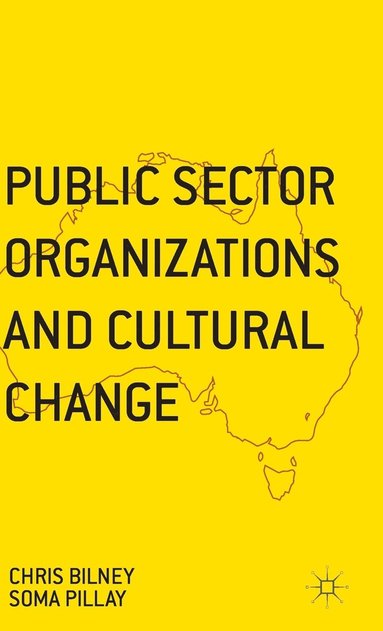 bokomslag Public Sector Organizations and Cultural Change