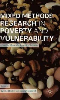 bokomslag Mixed Methods Research in Poverty and Vulnerability