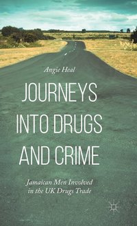 bokomslag Journeys into Drugs and Crime
