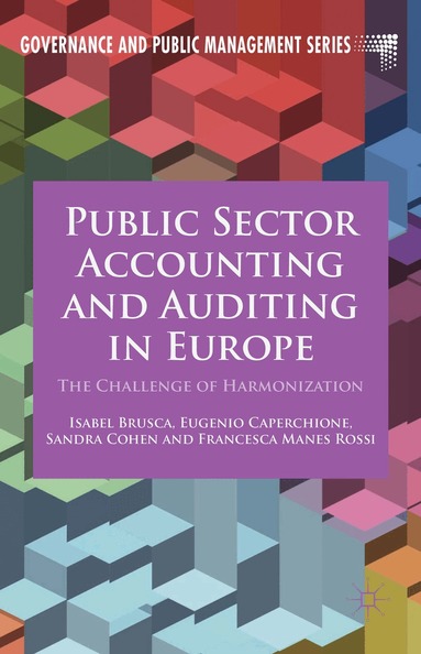 Isabel Brusca, Eugenio Caperchione, I. Brusca, E. Caperchione, S. Cohen, F Manes Rossi - Public Sector Accounting and Auditing in Europe, Inbunden