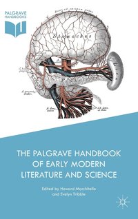bokomslag The Palgrave Handbook of Early Modern Literature and Science