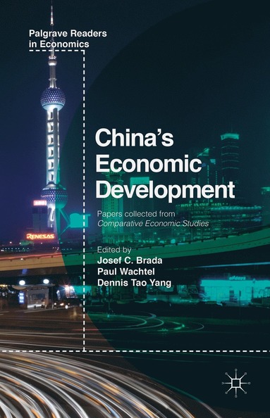 bokomslag China's Economic Development