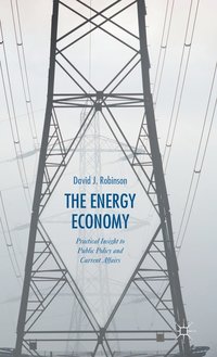 bokomslag The Energy Economy