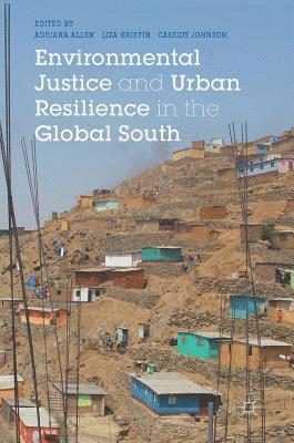 bokomslag Environmental Justice and Urban Resilience in the Global South