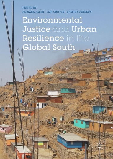 bokomslag Environmental Justice and Urban Resilience in the Global South