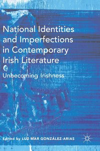 bokomslag National Identities and Imperfections in Contemporary Irish Literature