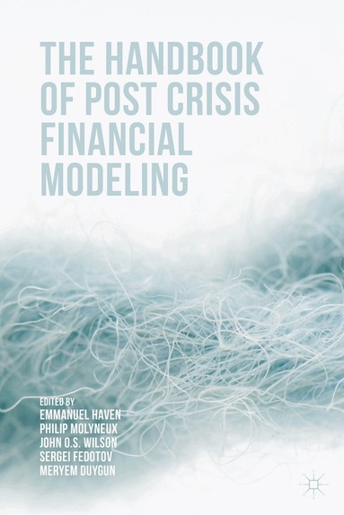 Emmanuel Haven, Philip Molyneux, John Wilson, Sergei Fedotov, Meryem Duygun - Handbook of Post Crisis Financial Modelling, Inbunden
