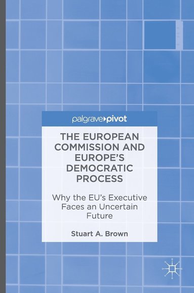 bokomslag European Commission and Europe's Democratic Process