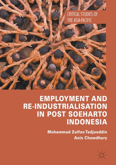 Mohammad Zulfan Tadjoeddin, Anis Chowdhury - Employment and Re-Industrialisation in Post Soeharto Indonesia, Inbunden
