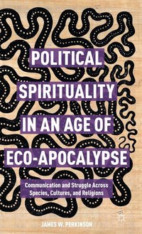 bokomslag Political Spirituality in an Age of Eco-Apocalypse