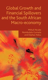 bokomslag Global Growth and Financial Spillovers and the South African Macro-economy