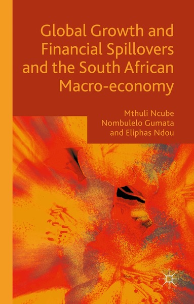 Mthuli Ncube, Eliphas Ndou, Nombulelo Gumata - Global Growth and Financial Spillovers and the South African Macro-economy, Inbunden