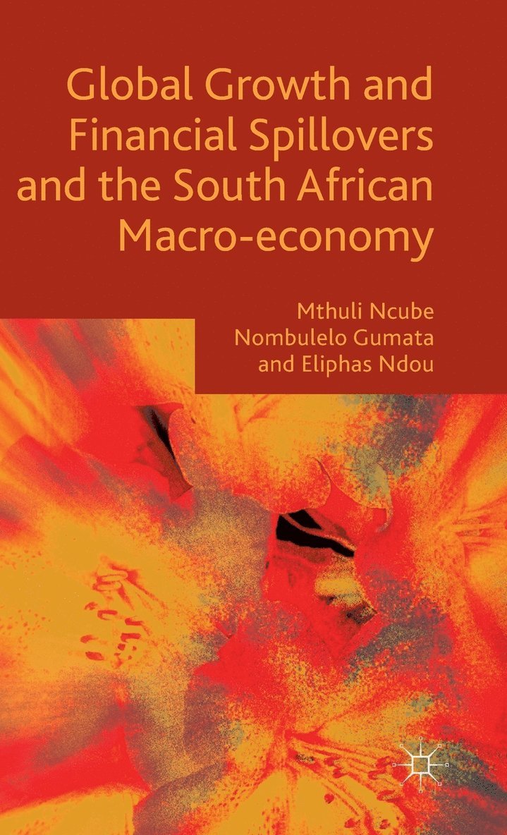 Mthuli Ncube, Eliphas Ndou, Nombulelo Gumata - Global Growth and Financial Spillovers and the South African Macro-economy, Inbunden