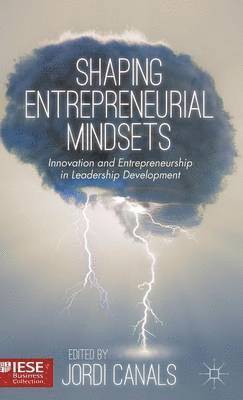 bokomslag Shaping Entrepreneurial Mindsets