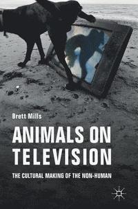 bokomslag Animals on Television