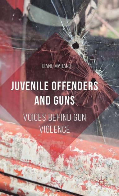 bokomslag Juvenile Offenders and Guns