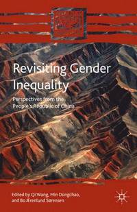 bokomslag Revisiting Gender Inequality