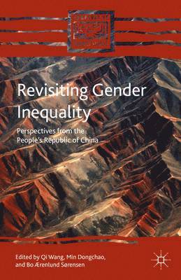 bokomslag Revisiting Gender Inequality