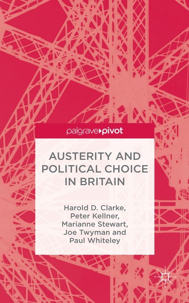 bokomslag Austerity and Political Choice in Britain