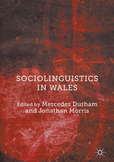 bokomslag Sociolinguistics in Wales