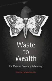 bokomslag Waste to Wealth