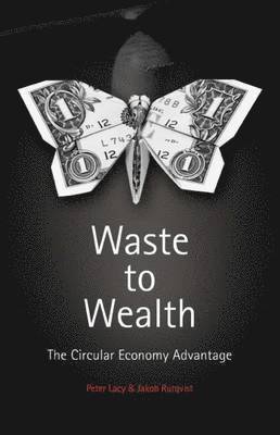 bokomslag Waste to Wealth
