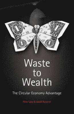 bokomslag Waste to Wealth