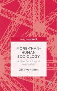 bokomslag More-than-Human Sociology