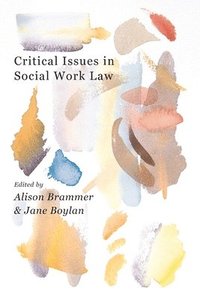 bokomslag Critical Issues in Social Work Law