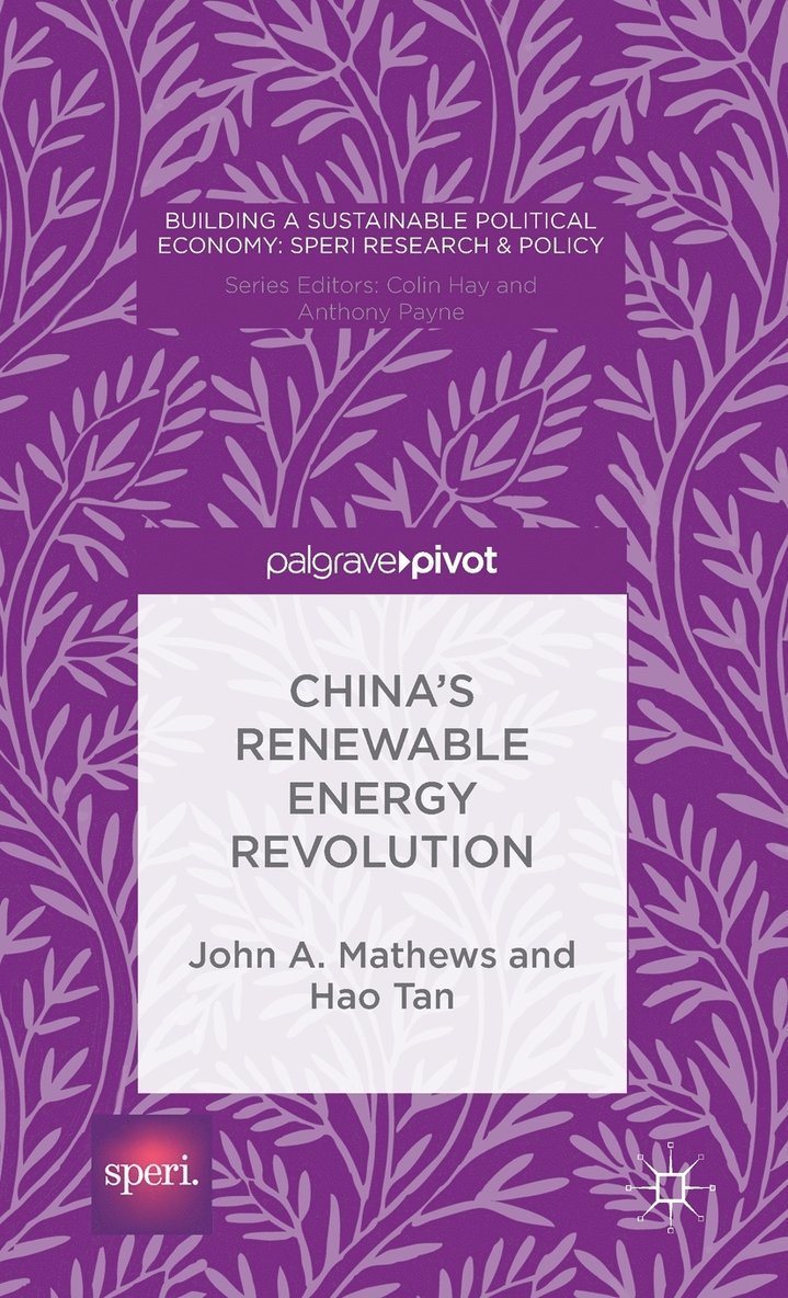 Chinas Renewable Energy Revolution 1