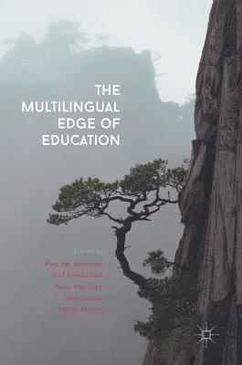 bokomslag Multilingual Edge of Education