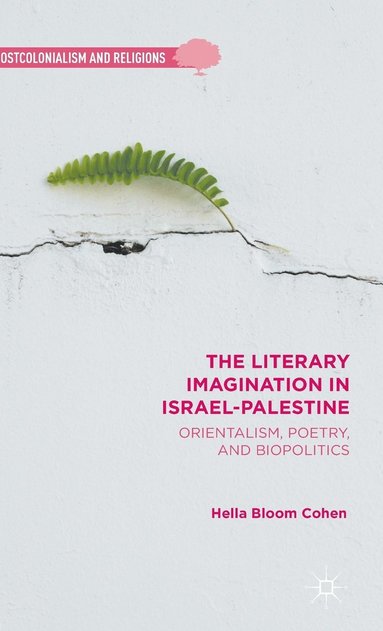 bokomslag Literary Imagination in Israel-Palestine