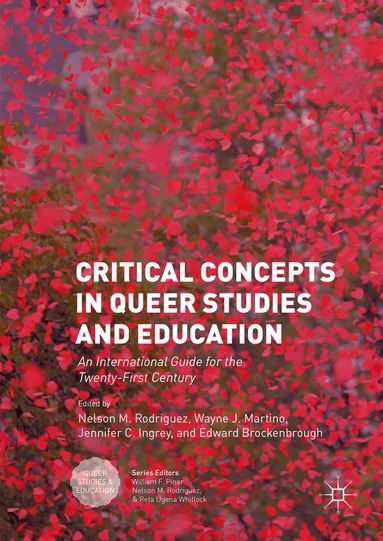 Nelson M. Rodriguez, Wayne J. Martino, Jennifer C. Ingrey, Edward Brockenbrough - Critical Concepts in Queer Studies and Education, Inbunden
