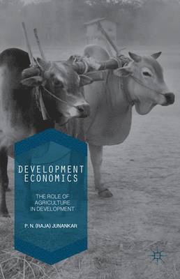 bokomslag Development Economics