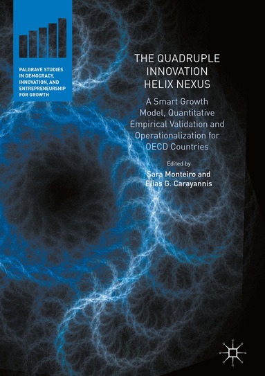 Sara Paulina De Oliveira Monteiro, Elias G. Carayannis - Quadruple Innovation Helix Nexus, Inbunden