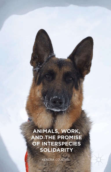 Kendra Coulter - Animals, Work, and the Promise of Interspecies Solidarity, Inbunden
