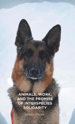 bokomslag Animals, Work, and the Promise of Interspecies Solidarity