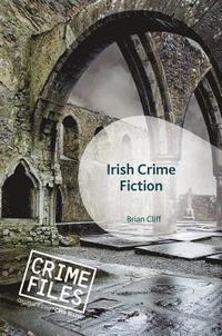 bokomslag Irish Crime Fiction