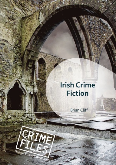 bokomslag Irish Crime Fiction