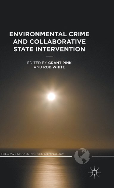 bokomslag Environmental Crime and Collaborative State Intervention