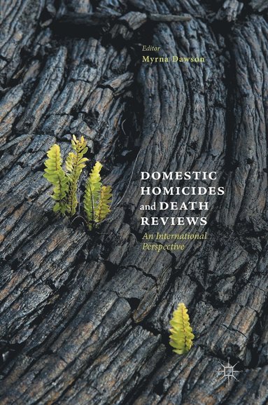 bokomslag Domestic Homicides and Death Reviews