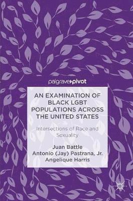 bokomslag An Examination of Black LGBT Populations Across the United States