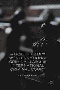 bokomslag A Brief History of International Criminal Law and International Criminal Court