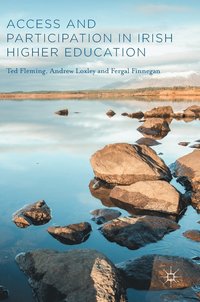 bokomslag Access and Participation in Irish Higher Education
