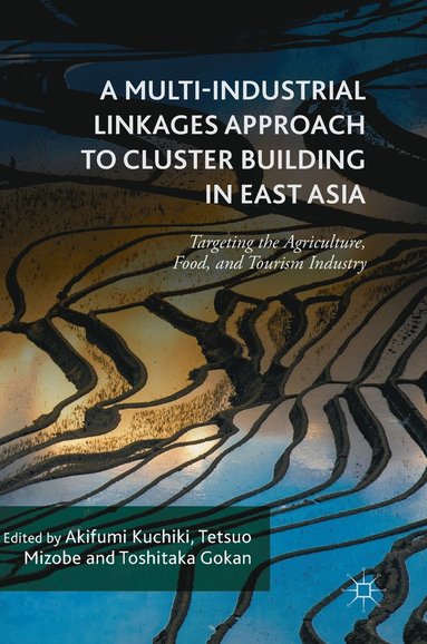 bokomslag A Multi-Industrial Linkages Approach to Cluster Building in East Asia