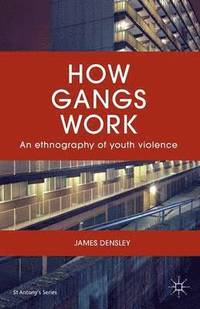 bokomslag How Gangs Work